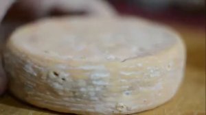 Горгонзола домашнего приготовления