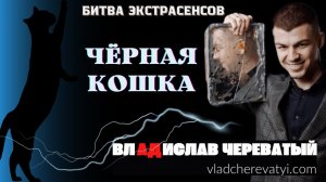 Чёрная кошка #владчереватый #битваэкстрасенсов23сезон