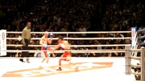 hozumi hasegawa WBC Bantamweight Title