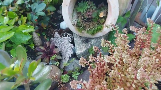 Домики для/ композиции из молодил/ каменных роз в моём саду# Häuser für Sempervivum... смотреть онлайн