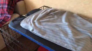 Клетка для щенка. Безопасность собаки. Сохранность квартиры !