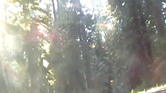 Harley Ride in Oxbow Park OR смотреть онлайн