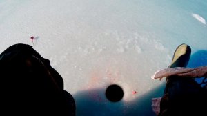 Рыба из лунки. Детали зимней рыбалки от Юрия Философа. Маныч . 2024 год.