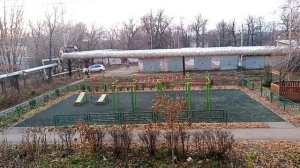 Стихи про голубя!