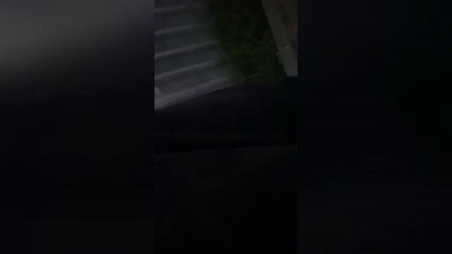 КУПИЛ АЙФОН В МОСКВЕ , А ПРОДАЛ НА АВИТО - сколько заработал на перепродаже ? Авуджи смотреть онлайн