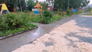 зигзаг удачи, серый спортивный день.mp4