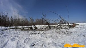 Ловля певчих птиц тайником 11 Часть