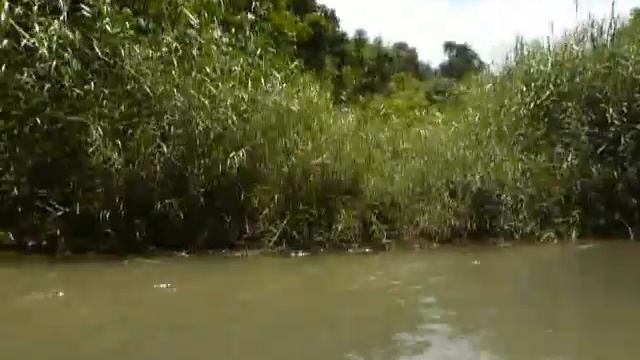 каание на каноэ по реке Оск смотреть онлайн