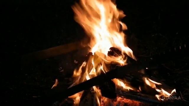 Красивое стихотворение. "Кого обманываем мы?" смотреть онлайн