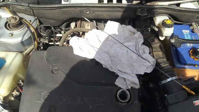 Принимайте в отряд масложориков смотреть онлайн