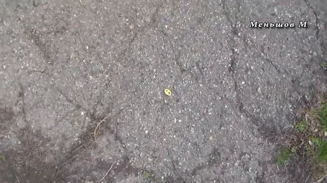 Петарды от собак, по чесноку. Эффективно и просто смотреть онлайн