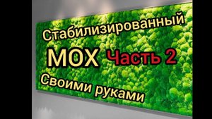 Стабилизированный мох. Часть 2