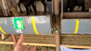 КУЙ БОКИБ 1 ОЙДА 500$ ДАРОМАТ КИЛИШ УСЛУБИ УЙ ШАРОИТИДА