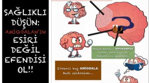 Amigdala nedir?