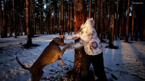 Как научить собаку ставить лапы на дерево