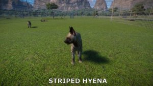 Planet Zoo Grasslands Pack Animal Showcase - NEW DLC ANIMALS!