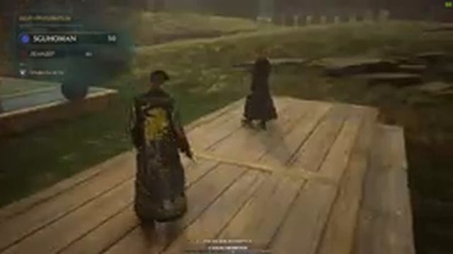 Выживание в ХОГВАРТСЕ ? полёты на метле, древняя магия и тайная комната - ЧАСТЬ 3 смотреть онлайн