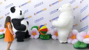 Поздравление в костюмах Белый медведь и Панда