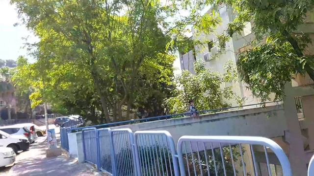 ЦВЕТЁТ ЗОЛОТАЯ АКАЦИЯ.УКРАШЕНИЕ С ЯНТАРИКОМ.АФУЛА.ИЗРАИЛЬ.Golden Acacia, Israel, Givat Ha More. смотреть онлайн