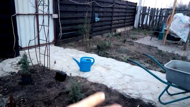 Хвойная клумба часть первая смотреть онлайн