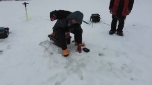 Зимняя ловля окуня и судака в черте города