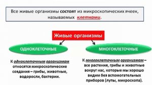 Биология 5 класс  Урок 1 "Наука о живой природе"