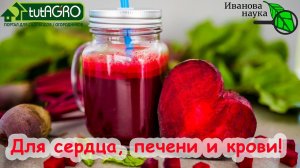 С ЧЕМ ПРАВИЛЬНО УПОТРЕБЛЯТЬ СВЁКЛУ ДЛЯ ПОЛЬЗЫ. Польза свеклы для крови. Ешьте свеклу каждый день!