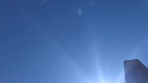 Председатель Енакиевского Клуба Любителей Голубей - уход, содержание, Гон Птицы! Николаевские голуб