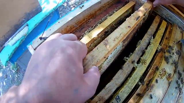 Зимний уход за пчелами Пчеловодство смотреть онлайн