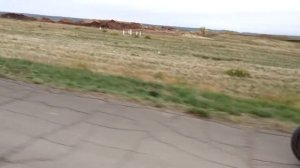 Baltmotors Street 125 DD / 2009