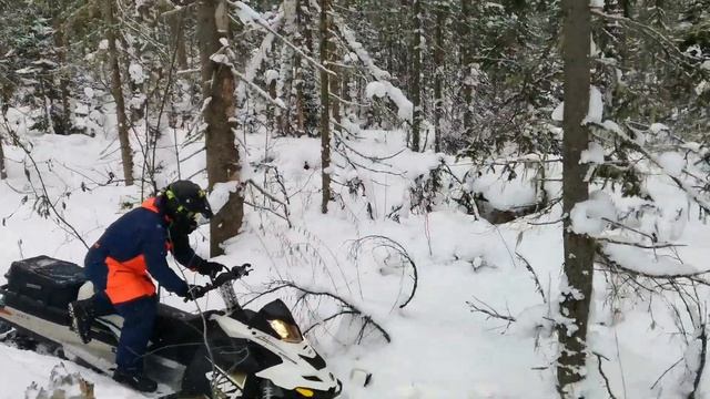 07 января 2022 год смотреть онлайн