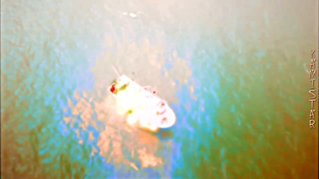 ►Kivanc Tatlitug & Beren Saat | Beautiful mess (crossover) смотреть онлайн