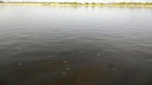 По Волге на новом метеоре #Валдай45Р