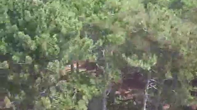 Крым. Канатная дорога Мисхор - Ай-Петри. смотреть онлайн