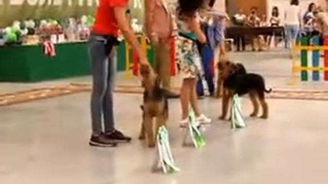 Копия видео "Видео монка 8 июля судья Каширин Н М" смотреть онлайн