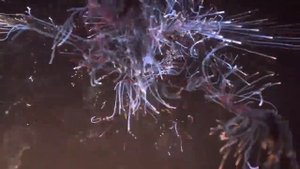 Что такое ФИЗИКА ?