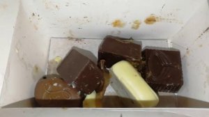 Пробуем шикарный бельгийский шоколад прямо с фабрики элитный шоколад Leonidas belgian chocolate