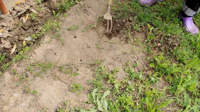 СРЕДСТВО ОТ МУРАВЬЕВ. МОЙ ОПЫТ ИСПОЛЬЗОВАНИЯ ГРАНУЛ РУБИТ ОТ МУРАВЬЕВ смотреть онлайн