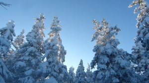 А за окном зима метёт февраль