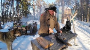 ПОЙМАЛ ЩУКУ А В ВНУТРИ БЫЛО ЭТО. ТАЁЖНЫЙ БАЛАГАН. ЖИВЁМ С СОБАКОЙ В ЛЕСНОЙ ХИЖИНЕ. УБЕЖИЩЕ  В ГЛУШИ