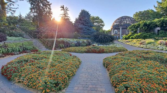 Live and Learn August 2022 смотреть онлайн