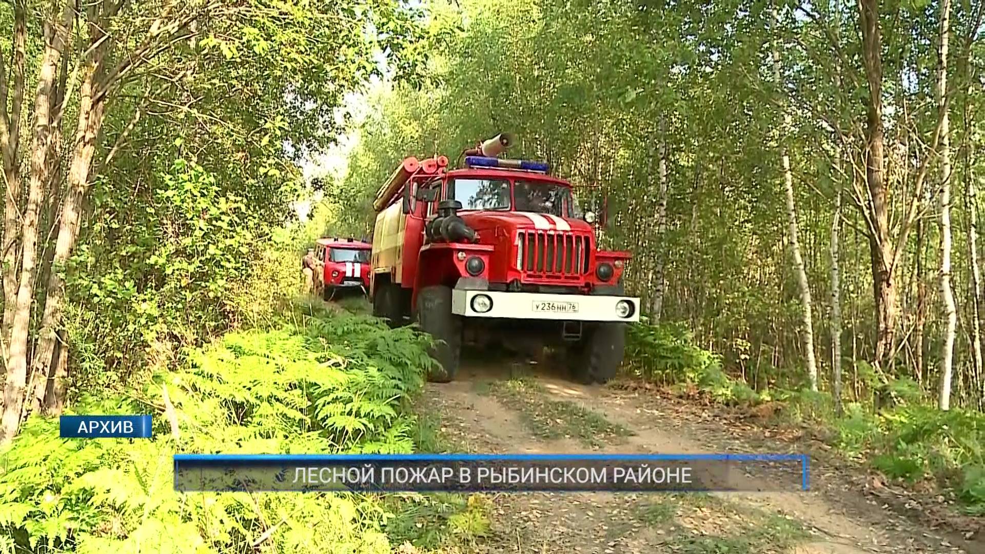 (Рыбинск-40) ЛЕСНОЙ ПОЖАР В РЫБИНСКОМ РАЙОНЕ