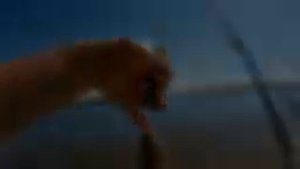 Лысогорка2021. Рыбалка на шикарных местах. Это не рыбалка,а работа. Рыбалка в лысогорке.