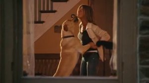 Сцена из фильма "Марли и я"