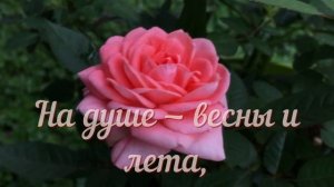 ? ИРА С ДНЕМ РОЖДЕНИЯ / С ДНЕМ РОЖДЕНИЯ ИРИНА / С ДНЁМ РОЖДЕНИЯ / ОТКРЫТКИ С ДНЕМ РОЖДЕНИЯ / ИРОЧКА