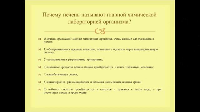 Функции кишечника. Урок биологии. смотреть онлайн