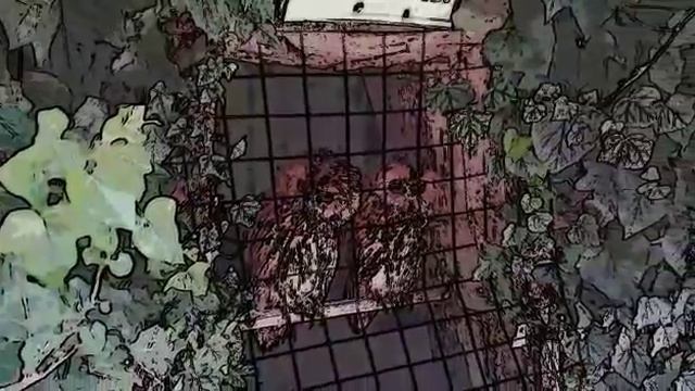 Мультяшная обработка фото туристов. Абхазия. смотреть онлайн