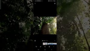 Как поделиться длинным видео по WhatsApp без потери качества. Как отправить большой файл по WhatsAp