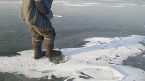 зимняя рыбалка - первый лед