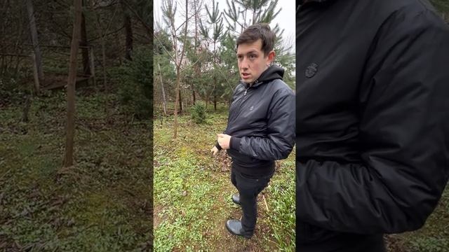 Получение богатства и открытие денежного потока! Родовая чёрная Магия! Такого не видел ютуб!